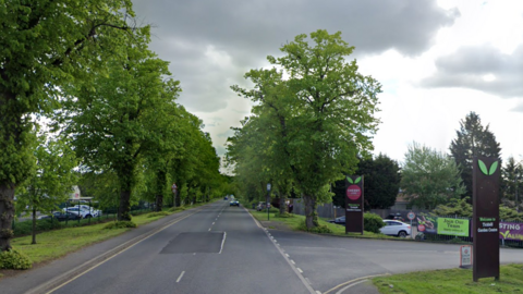 Bawtry Road, May 2023. The lime trees line either side of the road. The customer entrance to Cherry Lane Garden Centre is on the right.