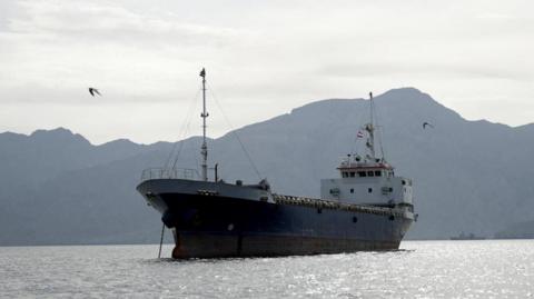 Some birds fly past a large vessel at the Strait of Hormuz, off the coast of Oman’s Musandam province, on 12 April