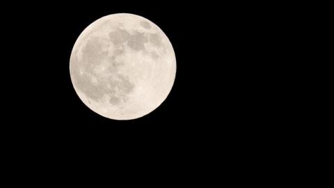 Image of the harvest moon - white and large against a black sky. 