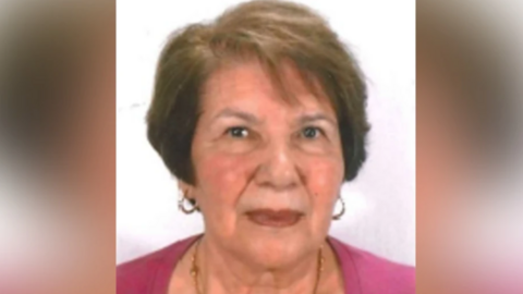 A woman with a pink top and a necklace is looking at the camera. She has brown hair and the background behind her is white.