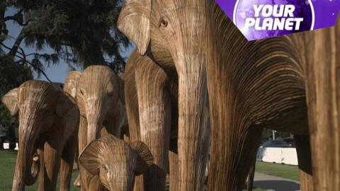 Elephant sculptures