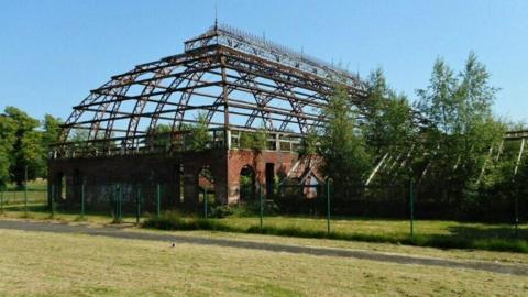 Springburn Winter Gardens - a derelict glasshouse, with trees and greenery surrounding it