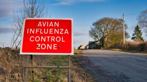 A red warning sign reading: Avian influenza control zone, at the side of a rural road on a sunny winter's day with a blue sky in the UK 