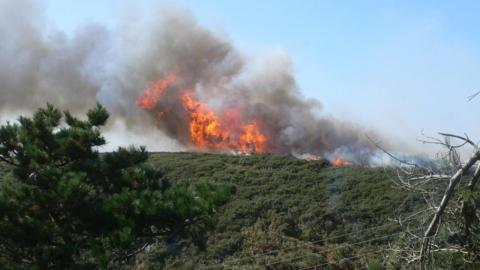 A wildfire on heathland in Jersey in 2009. Flames and smoke are billowing into the sky.