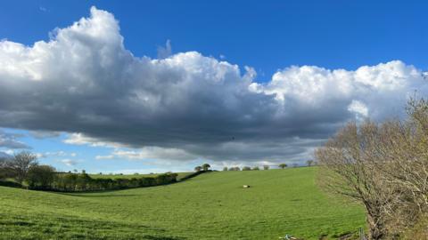 Rolling fields and clouds on the horizon with a tree denuded of leaves in the right-hand foreground