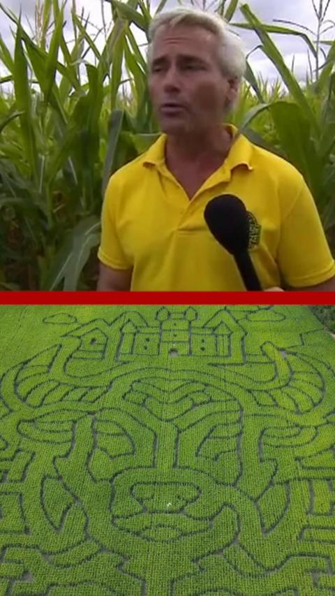 Farmer standing in yellow top near Maize above an aerial image of his maze.