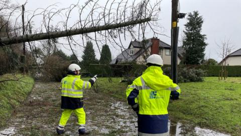 Storm damage 