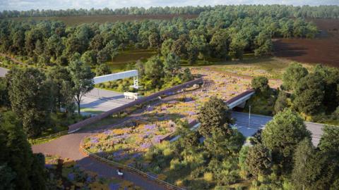 An artist's impression of the Cockcrow bridge which has a path running along one side and the other part of it fenced with plants, including purple and yellow ones, growing. The A3 can be seen running beneath it, though there is no traffic on it, and either side there are trees and commons.