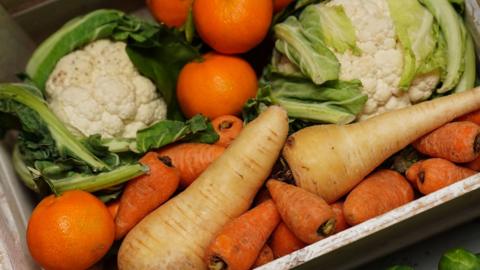 A box full of cauliflower, parsnips, carrots and oranges