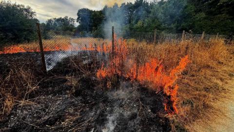 Photo shows a fire on a stretch of very dry grass in a nature reserve. Ribbons of flames separate blackened burnt grass from yellow grass. A fence is in the middle of the photo.