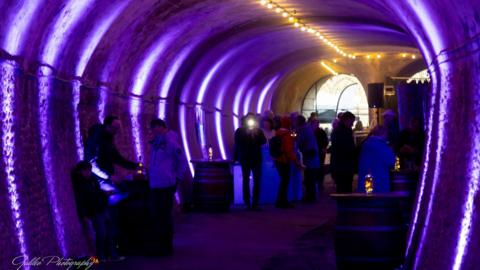 A crowd of people standing inside a tunnel, which is lit up with purple lights.
