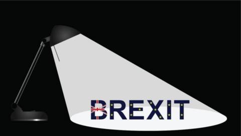 Brexit light