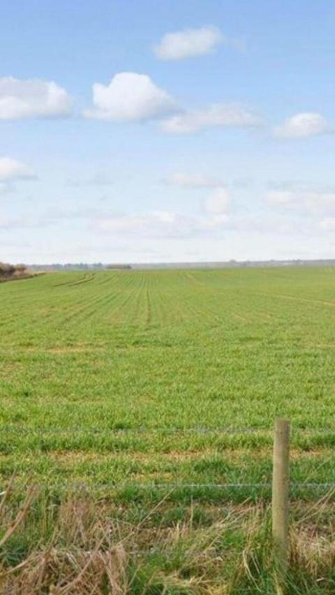 Field 