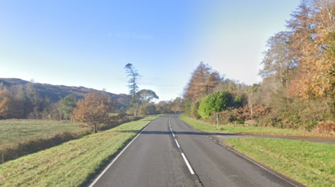 A long road with trees surrounding and a blue sky. 