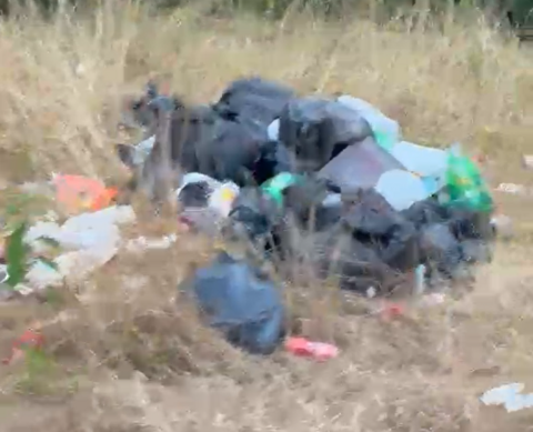 Black bin bags are pictured on a field