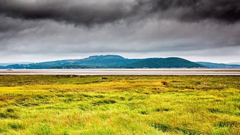 Morecambe Bay generic