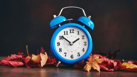 A blue, traditional analogue alarm clock with its minute hand at 10 and its hour hand at two. It is placed in front of a dark background with red and orange leaves surrounding it.