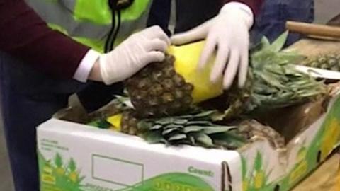 Drugs inside pineapple