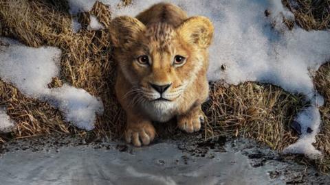 A young animated lion cub looks up, surrounded by snow on grass