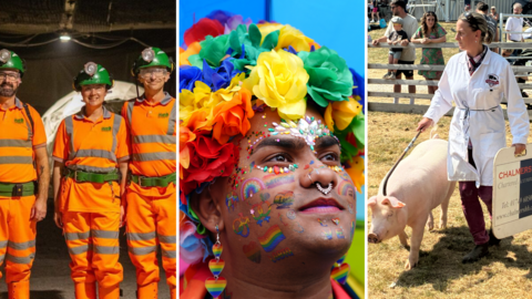 Three side-by-side images; on the left, three people in hi-vis orange work uniform stand underground. In the middle, a person wearing rainbow accessories looks up. On the right, a person in a white coat guides a pig with a board and stick.