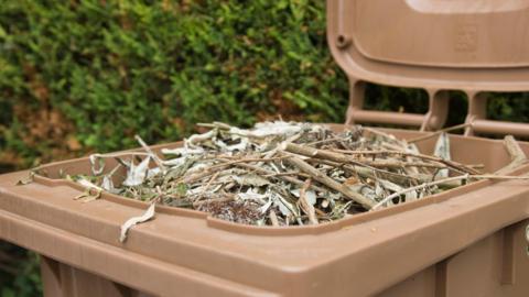 Brown wheelie bin with the lid up and filled with garden waste including twigs