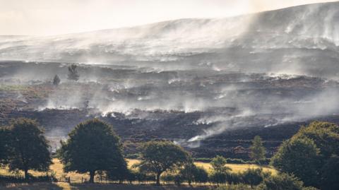 Smoke from a wildfire is blowing across a blackened mountainside with a few trees in the foreground which haven't been burnt.
