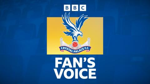 Crystal Palace fan's voice graphic