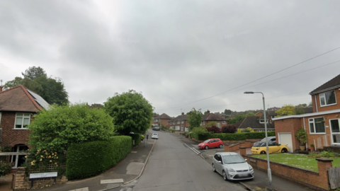 A residential street with green trees and a number of cars on either side