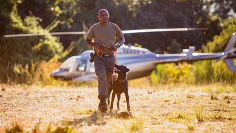 A man and a dog in front of a helicopter