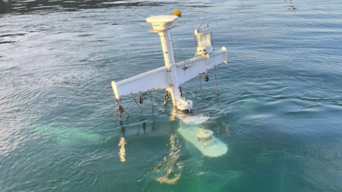 Crann bàta-obrach ri fhaicinn a' stobadh a-mach às an uisge an dèidh dhi a dhol fodha ann an Caolas Chearara