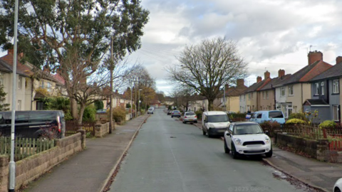 A long residential street with houses either side. There are cars parked on both sides of the road and large trees next to houses that are bare or have little green leaves