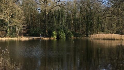 Beechwater Pond, Chantry Park, Ipswich