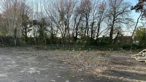 A patch of land that has tree stumps and to the right is a pile of chopped wood. In the background are tall trees and in the distance, houses. 