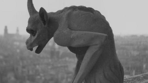 notre dame gargoyle