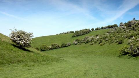 The Yorkshire Wolds made up of green rolling hills.