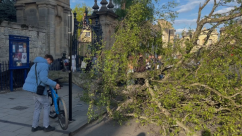 A fallen tree blocking a path in Oxford city centre, with a cyclist looking at it