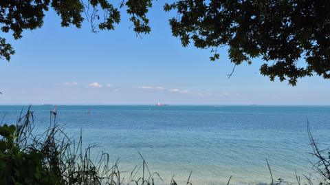 A view of the bright blue sea on a sunny day with blue skies. Taken from Bembridge showing a boat on the horizon and with the picture framed by trees above and grass below