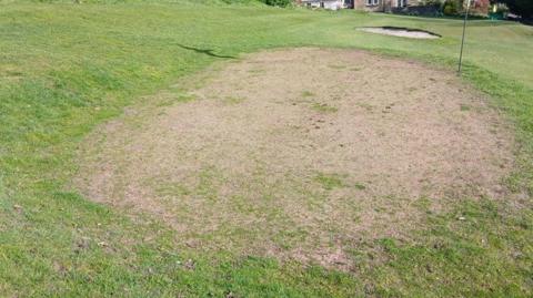A patch of grass showing an area which is worn through to soil. 