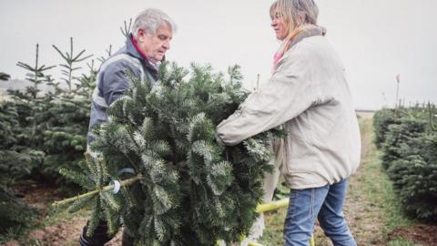 Alastair and Diane are carrying a Christmas tree in a field. It is on its side and they are either side of it.