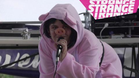 A person dressed as a pig