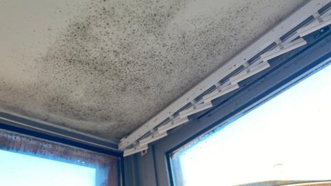 A view of a ceiling in the corner of two windows, with mould on the ceiling.