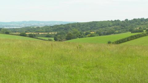 Fields between Kennford and Shillingford St George. Trees in the background and grass in the foreground