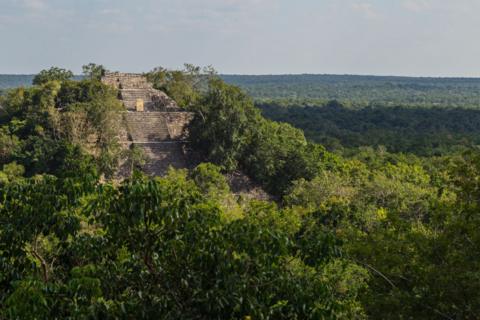 A pyramid in the Calakmul Mayan ruins in the state of Campeche.