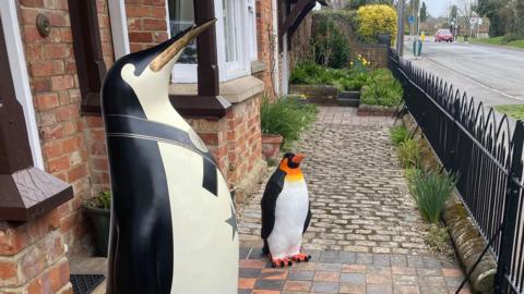 Two glass fibre penguins standing in the front garden of a house, facing the road.