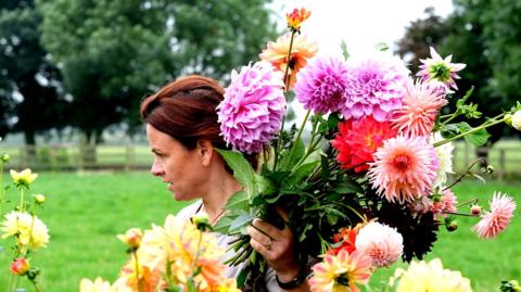 Dahlias, Holme Flowers, North Yorkshire