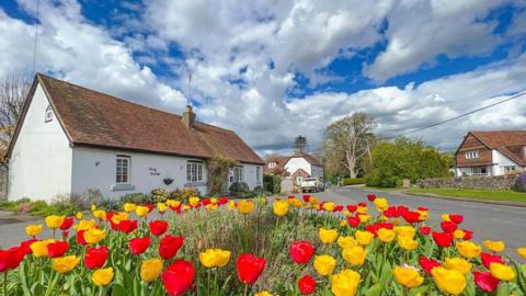 Red and yellow tulips in front of white stone cottages with cloudy blue sky behind