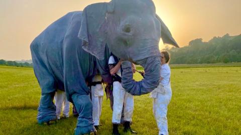 A group of people controlling a grey life-sized elephant puppet in a green grass field in front of a setting sun.