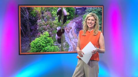 Jenny on the Newsround set