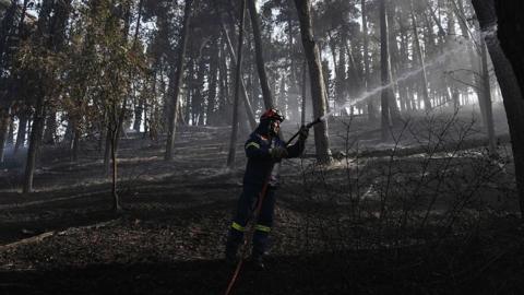 A firefighter in a smoky forest near Liti in northern Greece. Photo: 30 June 2026