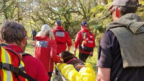 A group of people carrying a stretcher with the brown labrador on it. They are wearing red coats and the dog is padded with a yellow sheet.